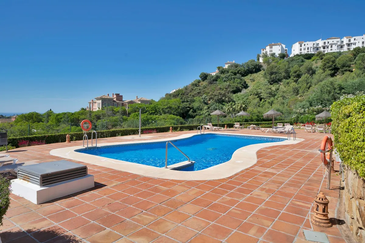 c31f341a-f32d-489b-8ef5-22db6fe6d15d