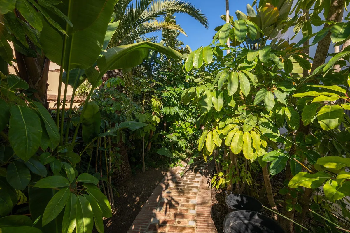 79571678-ffc8-4d30-980e-ee0653509ea6