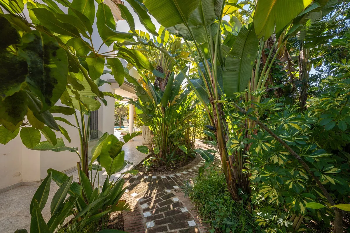 ad458e09-b227-4d62-8052-38d83f5b6f1e