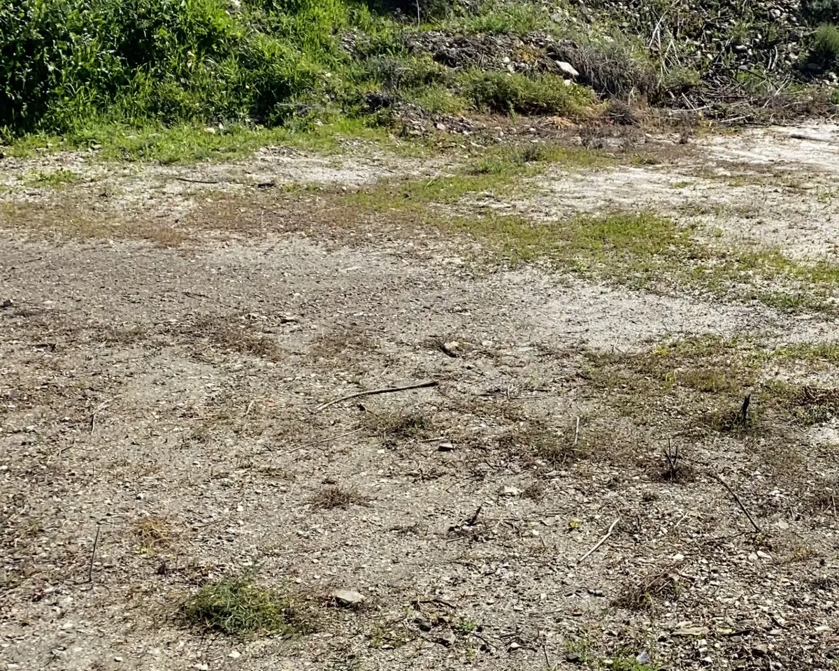 10fde7c7-b5f5-4e5f-a56d-229188f5a1d0