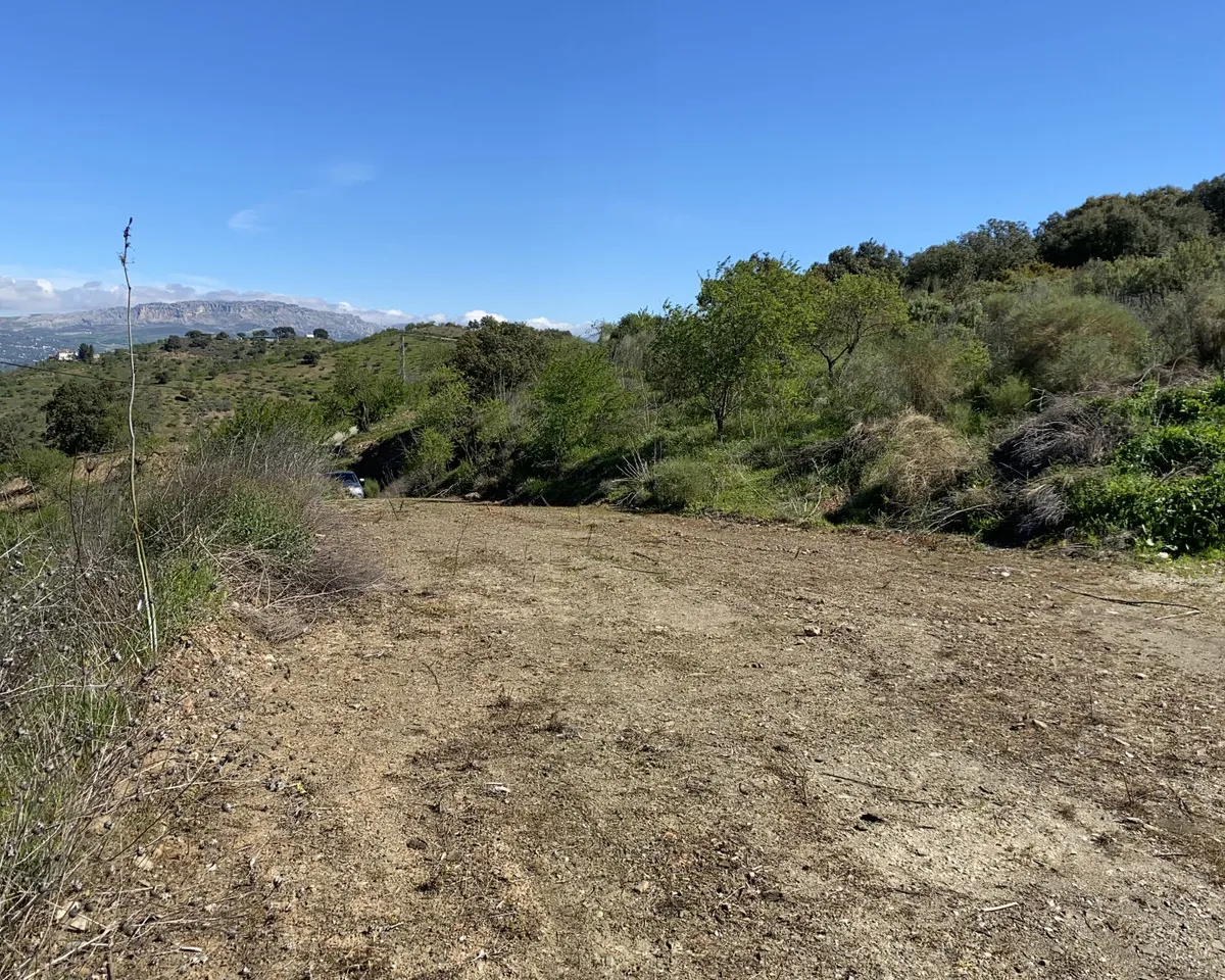 1a6b9955-30f9-4215-87c8-b2a8191d6486