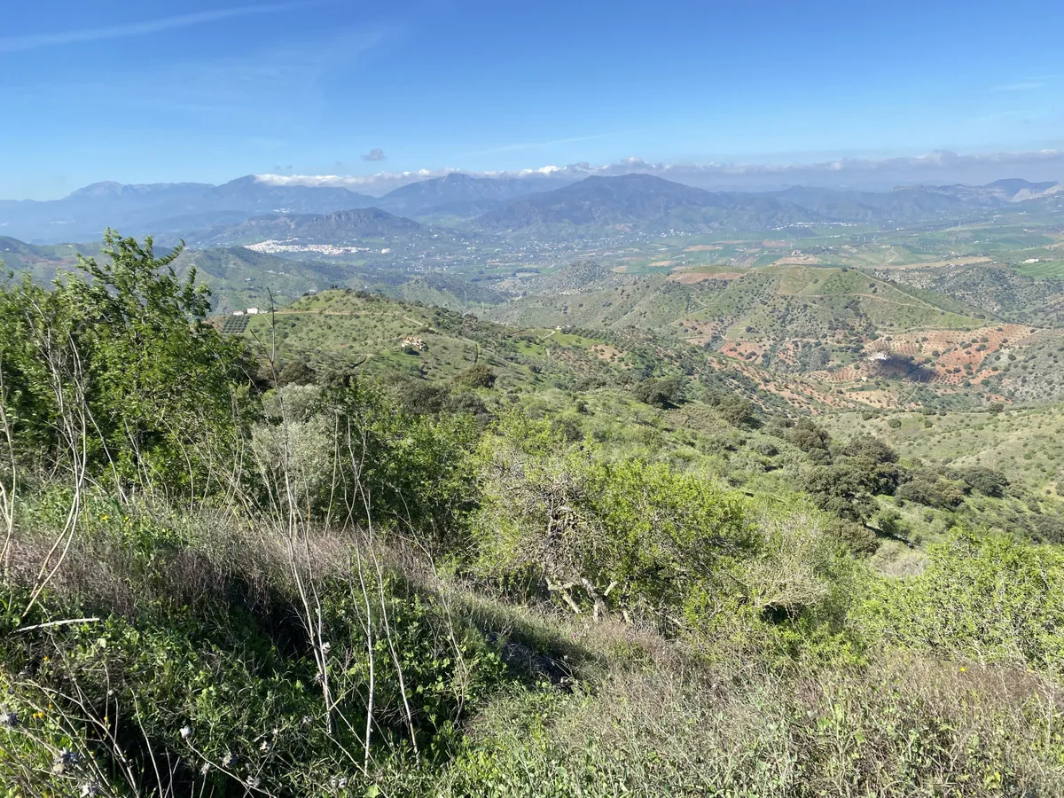 376b4152-ffc4-4c8a-9471-dd6450b34ef9