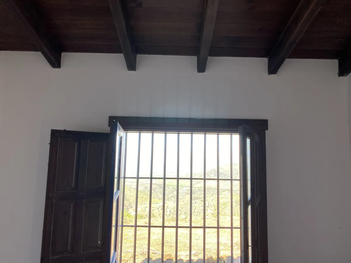 95d8e1da-2968-40de-bc08-a62664d6c134