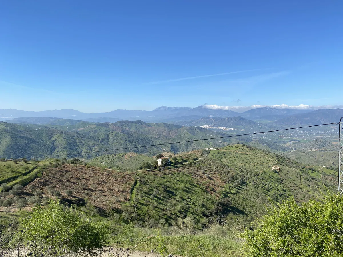 cfb344a1-16ad-44fe-a143-f70a4536a034