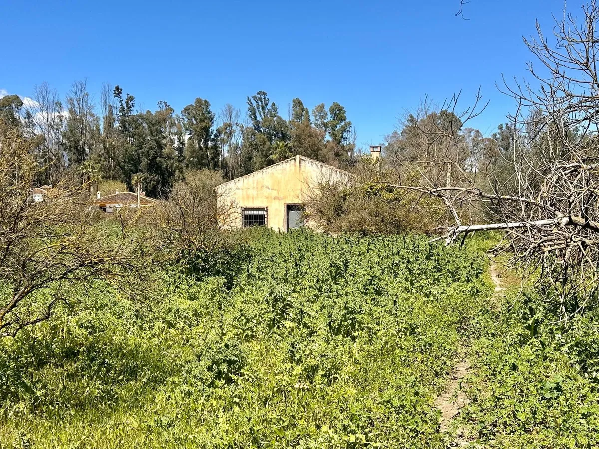 52da313d-2400-410e-bed3-3ad524f4023d