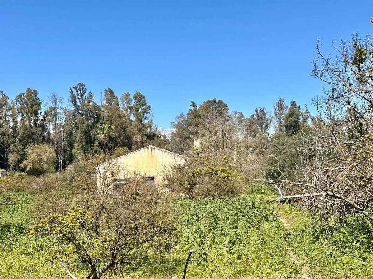 87c8b333-d0d0-4413-a83f-d6a90e1369cb