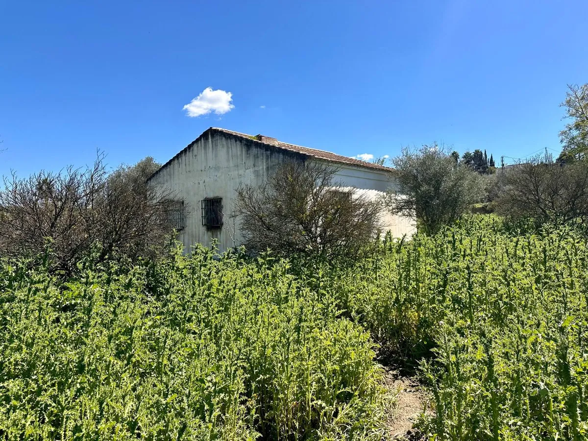 afdf4634-5c78-4594-9b67-aef702576789