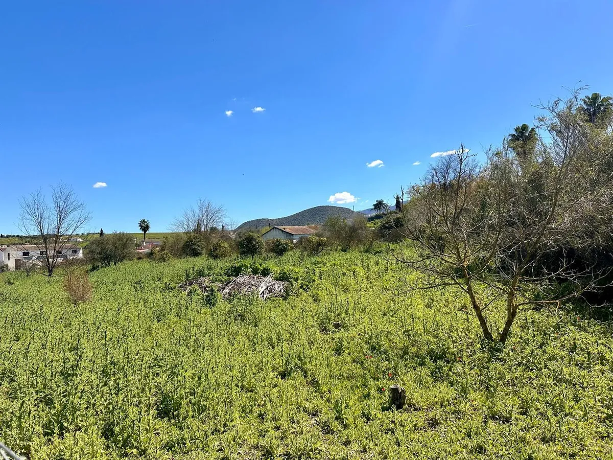 b76feebf-0fd1-40dc-97d9-01fb2ef828d5