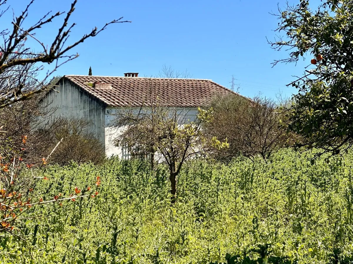 c70dc6be-b3eb-4982-af7c-45afab2da332