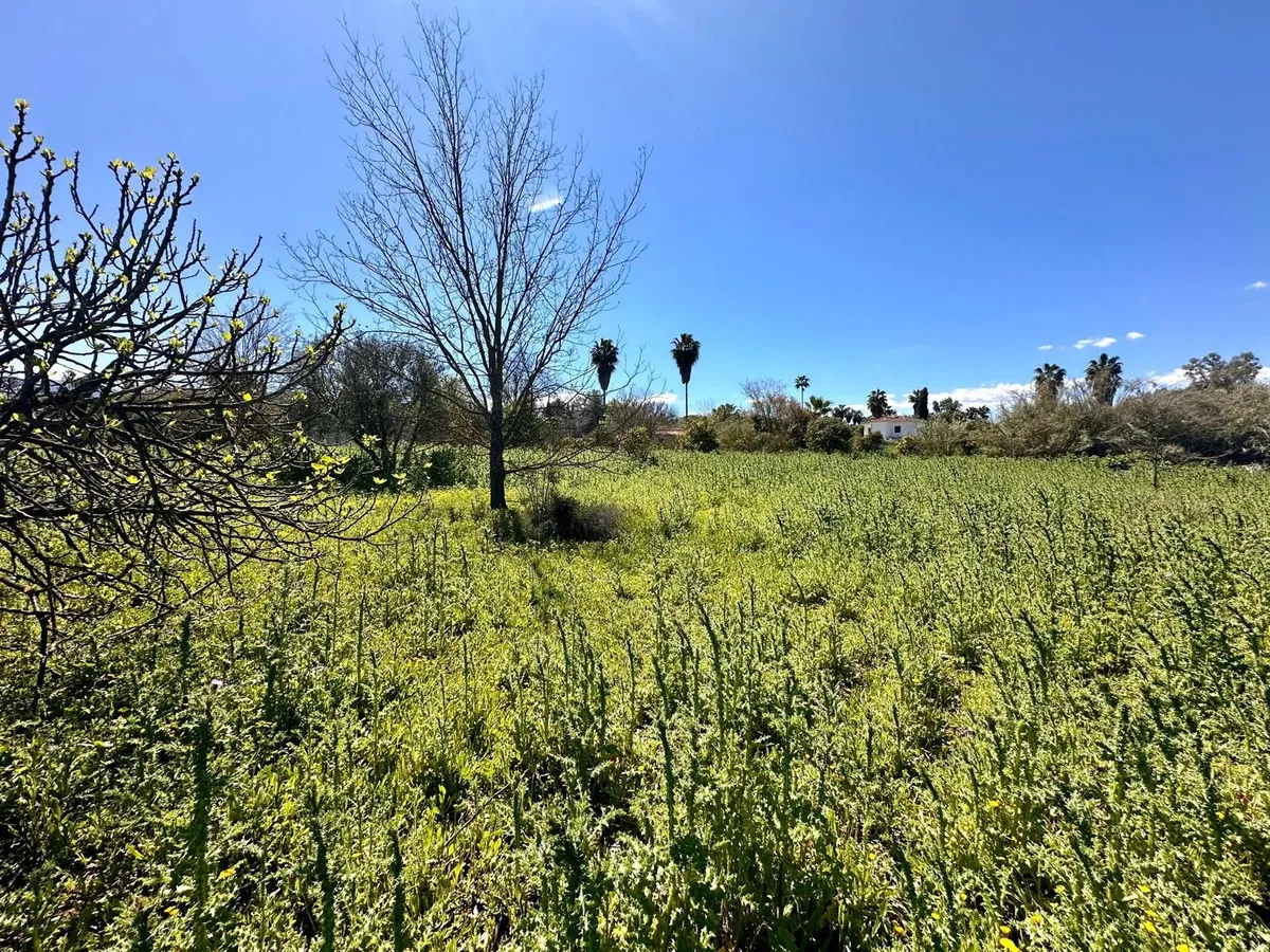 e869d0eb-b854-4884-8b9c-a6e3d1779c13