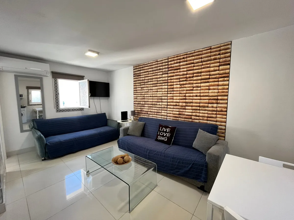 Charming One-Bedroom in Marbella Center