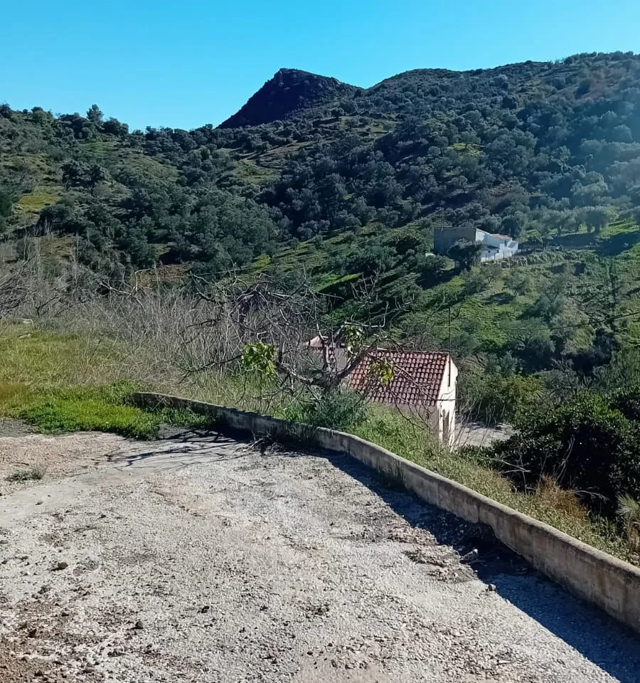 21a28353-4115-488b-b4ec-c161b59de2b1