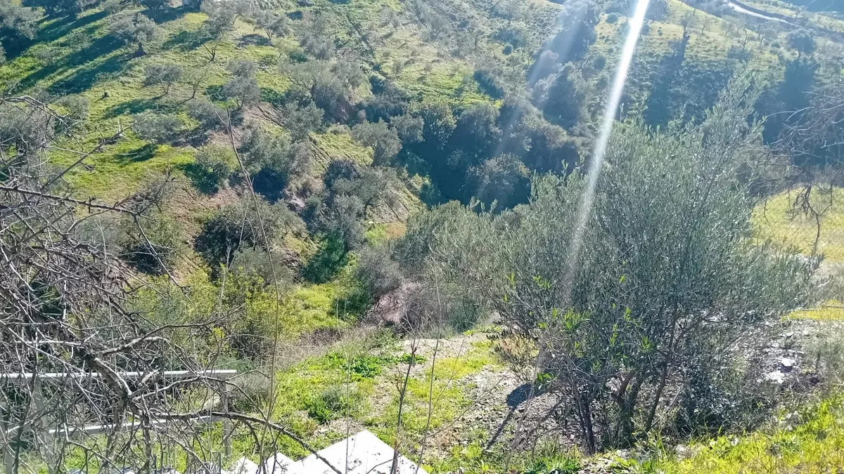 3c0cf0c2-25a5-408b-a858-b08a96b67ef5