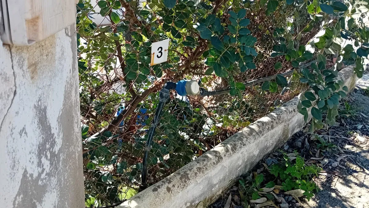 92fdaacf-92d3-4d8a-a460-01c5a4382b25