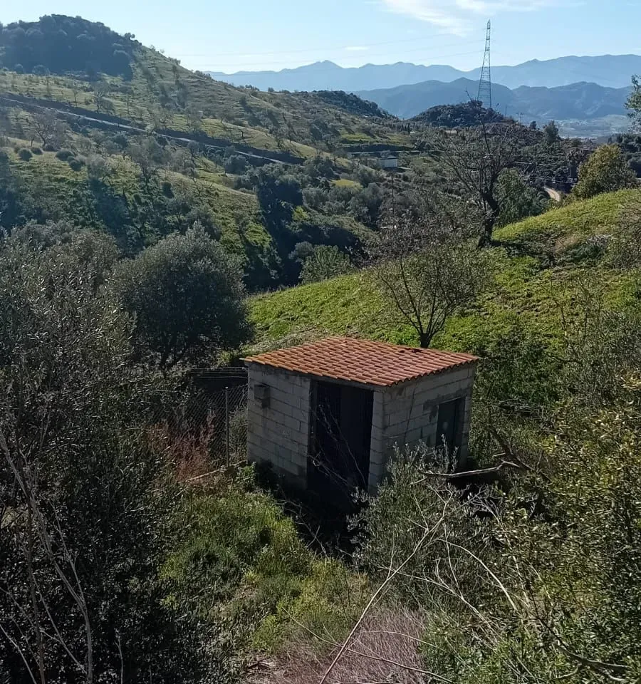 a356bec8-6404-42fe-8f99-bbd77f92ac41