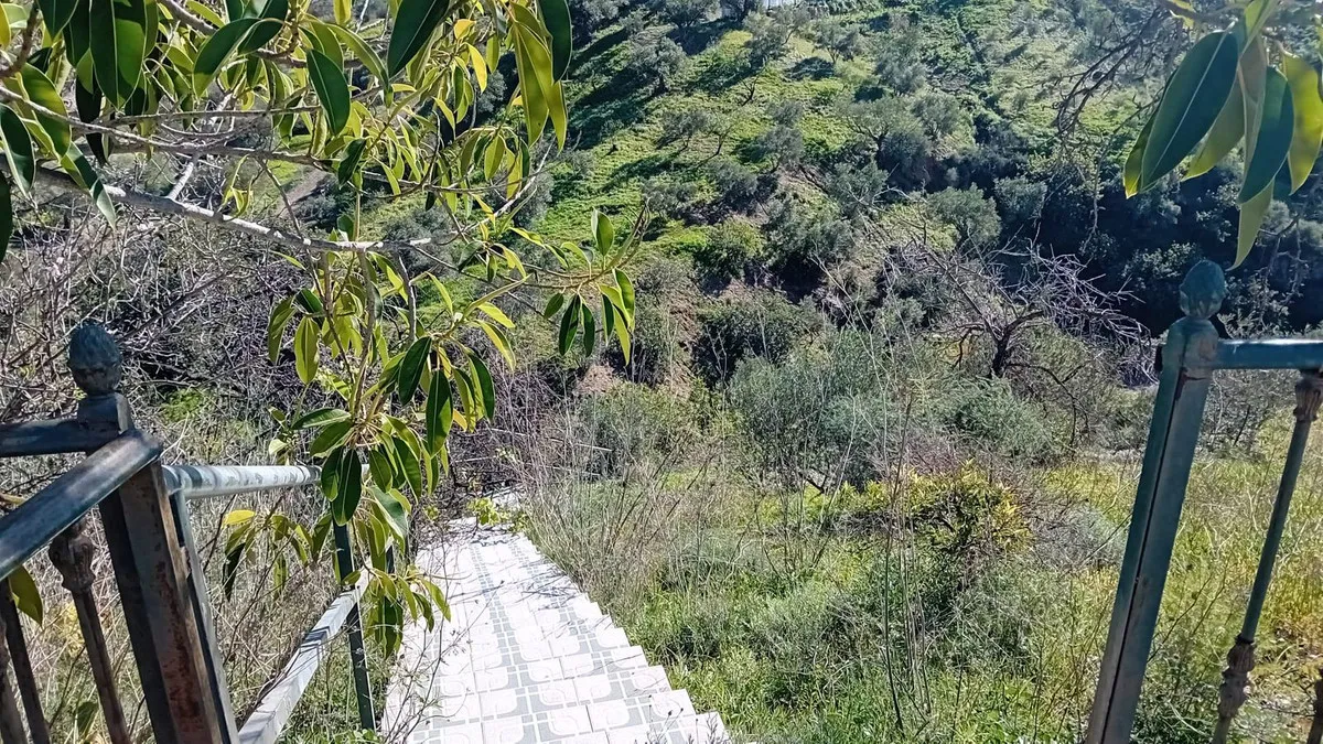 e22a4159-f271-43b9-a599-f2be9694ef45