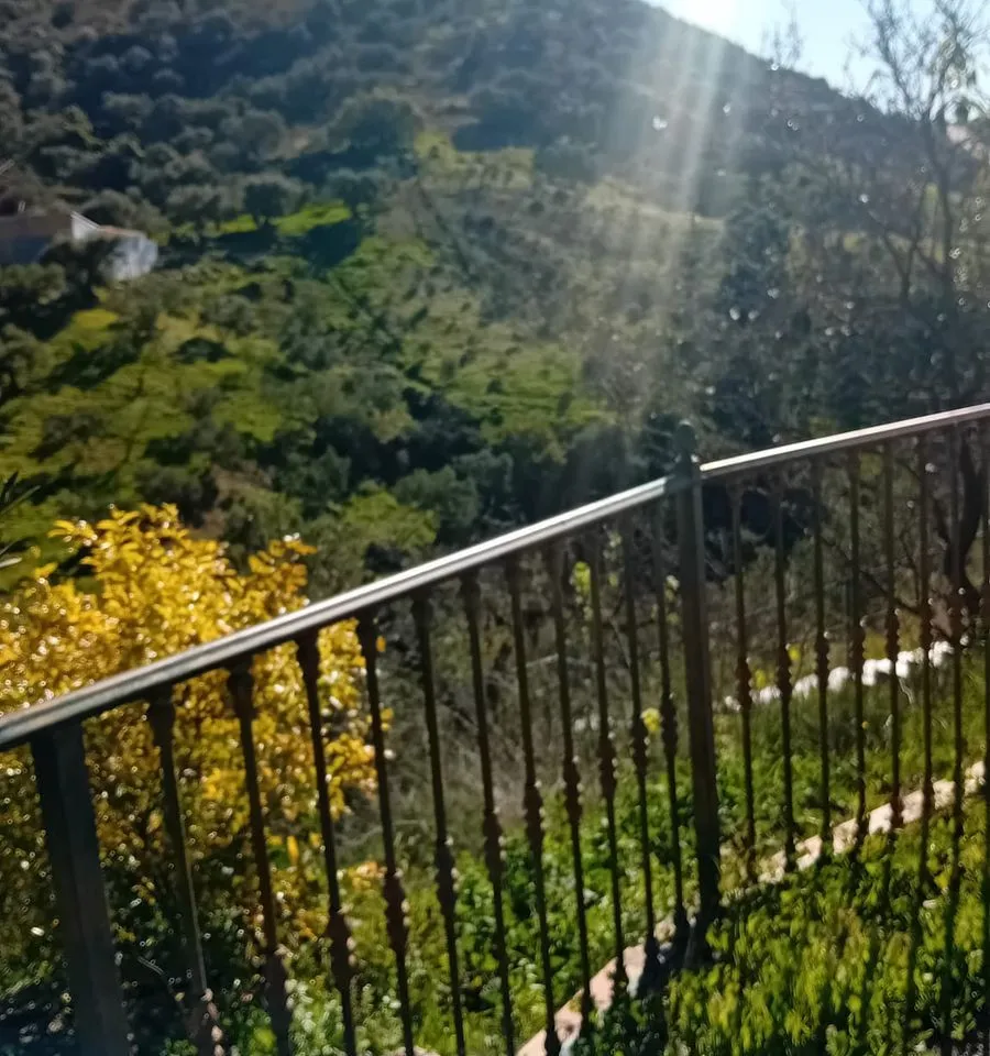 e2337e32-3ad7-4bc1-a160-d8cb86c34efd