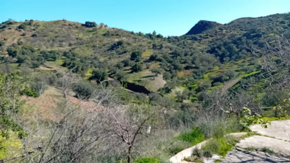 e2bfabbc-1b4c-4263-b5d1-15c5de16c7c8