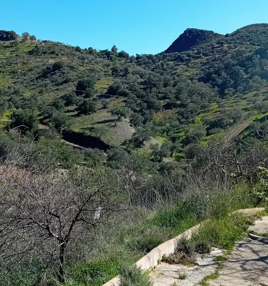 e3224139-5289-456a-b37c-e455569a4218