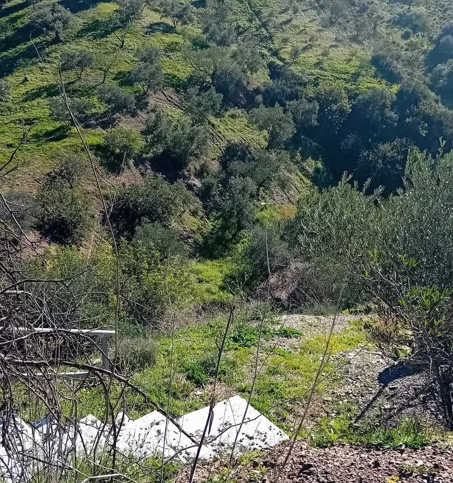 f1b3d837-68e8-487d-966f-3c7b4ecc3908