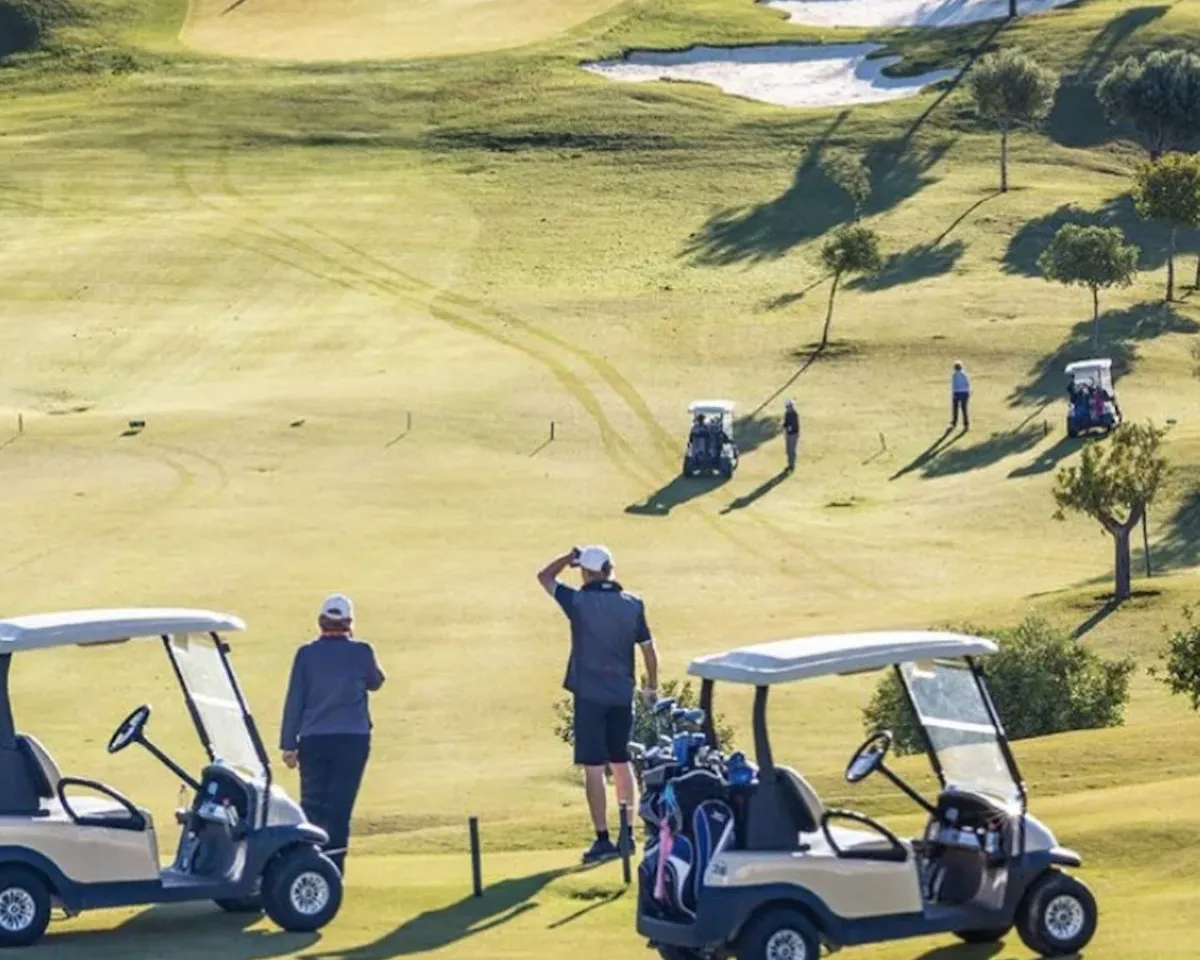 8a7ffab5-3a40-4146-bd04-5db41b1f2e8b