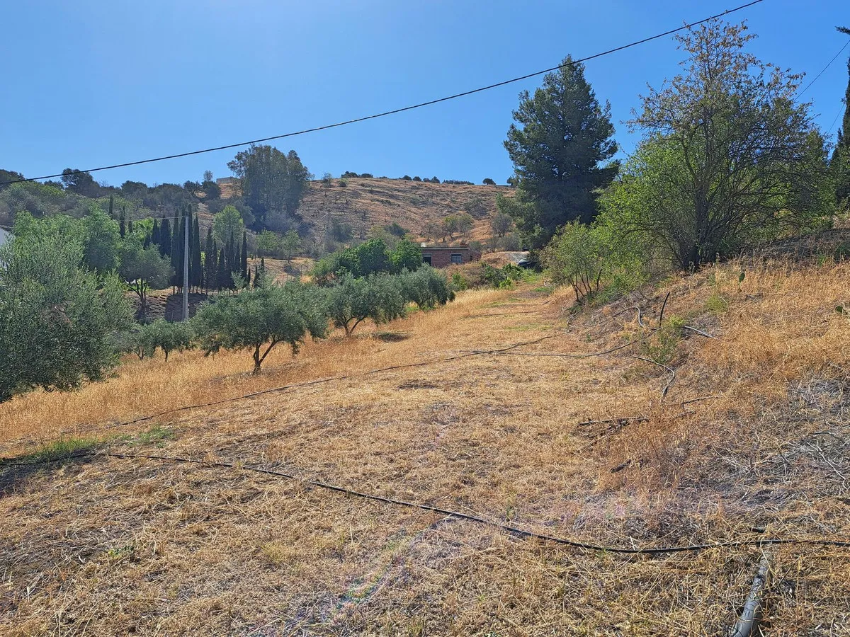 d2874b85-ffb8-4901-8d18-81b8d047f390