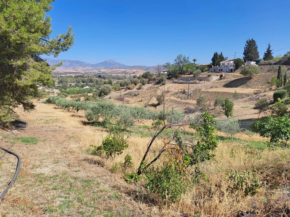 eeb8bac3-066d-410d-b049-203da06b7d50