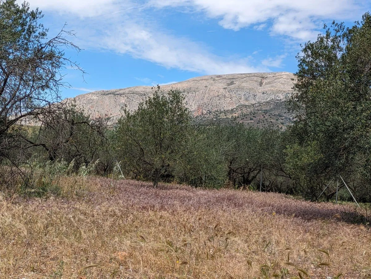 14e9dcf8-df72-4b9a-8266-cd649045937a