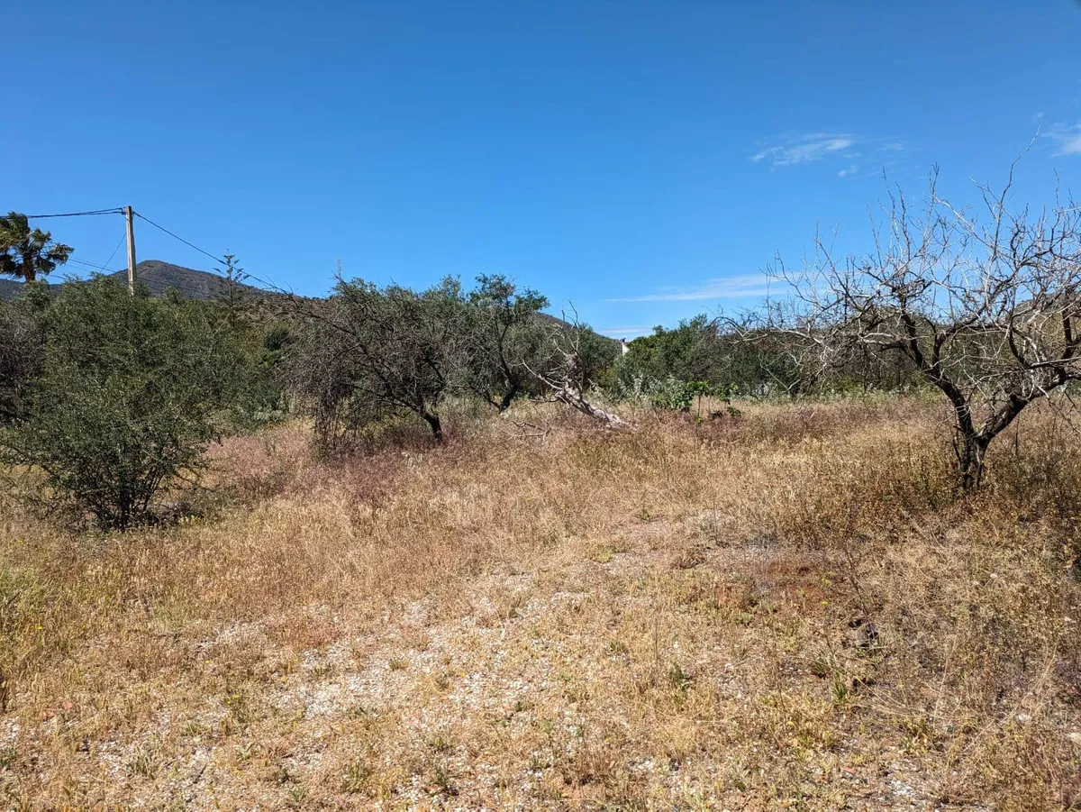 3afaa034-692e-4e0e-bd1d-80628f72dec3