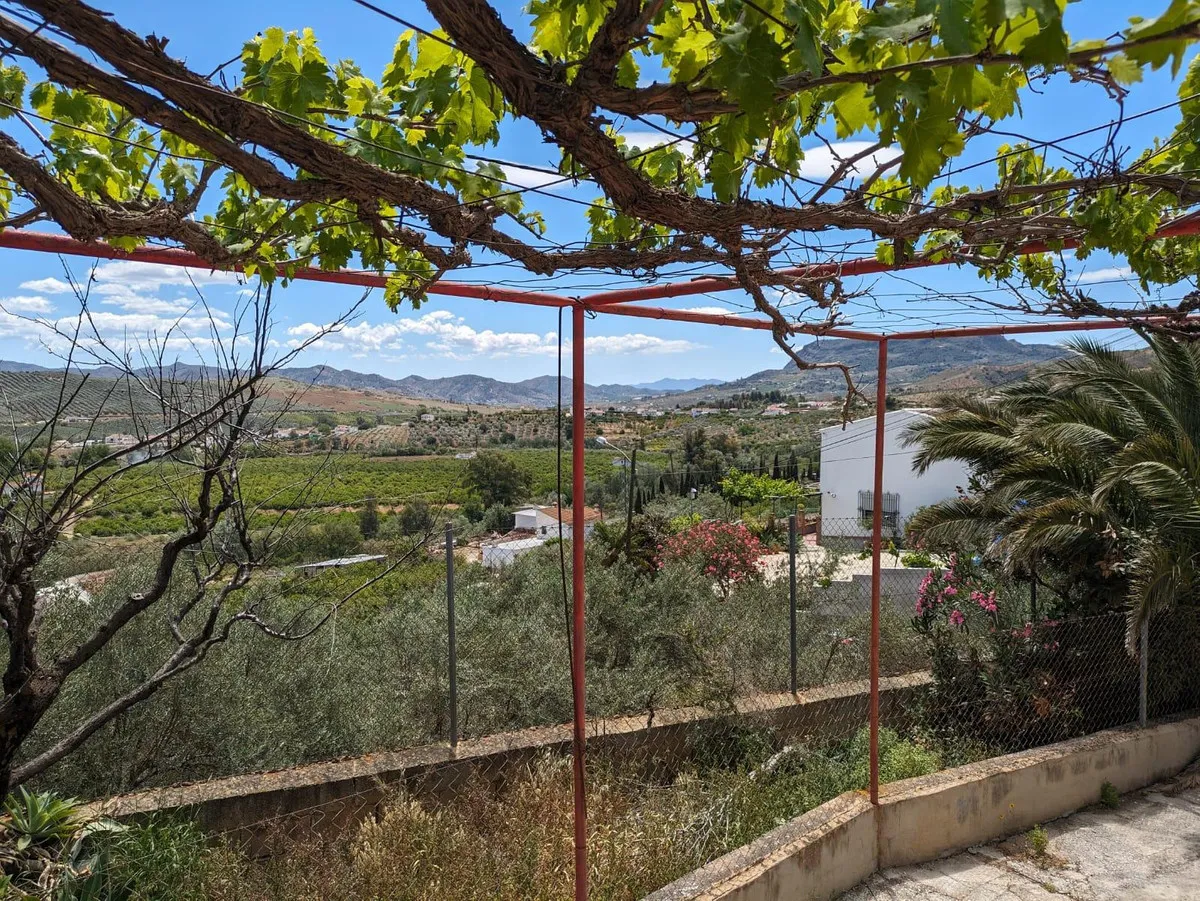 8db8a663-784e-4c5c-b782-b2ac371dc371