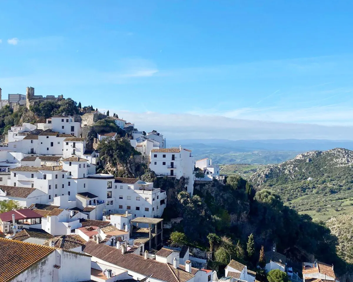 38cf5abb-0eb5-48e6-a42e-062f0f8c3d87