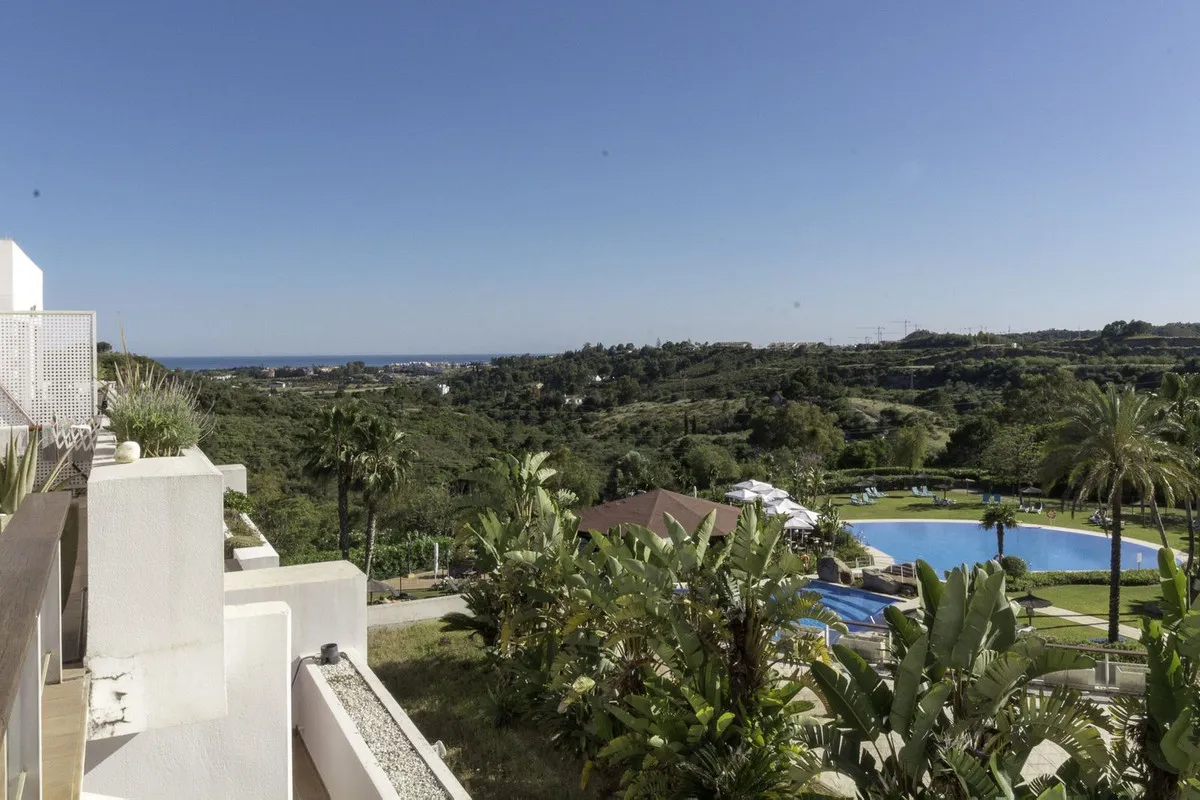 9d43047d-a309-4064-bc8d-a9a3c58e5875