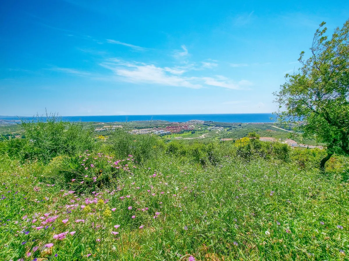 65526ffc-d0ab-4b45-b006-9706e0edd63a