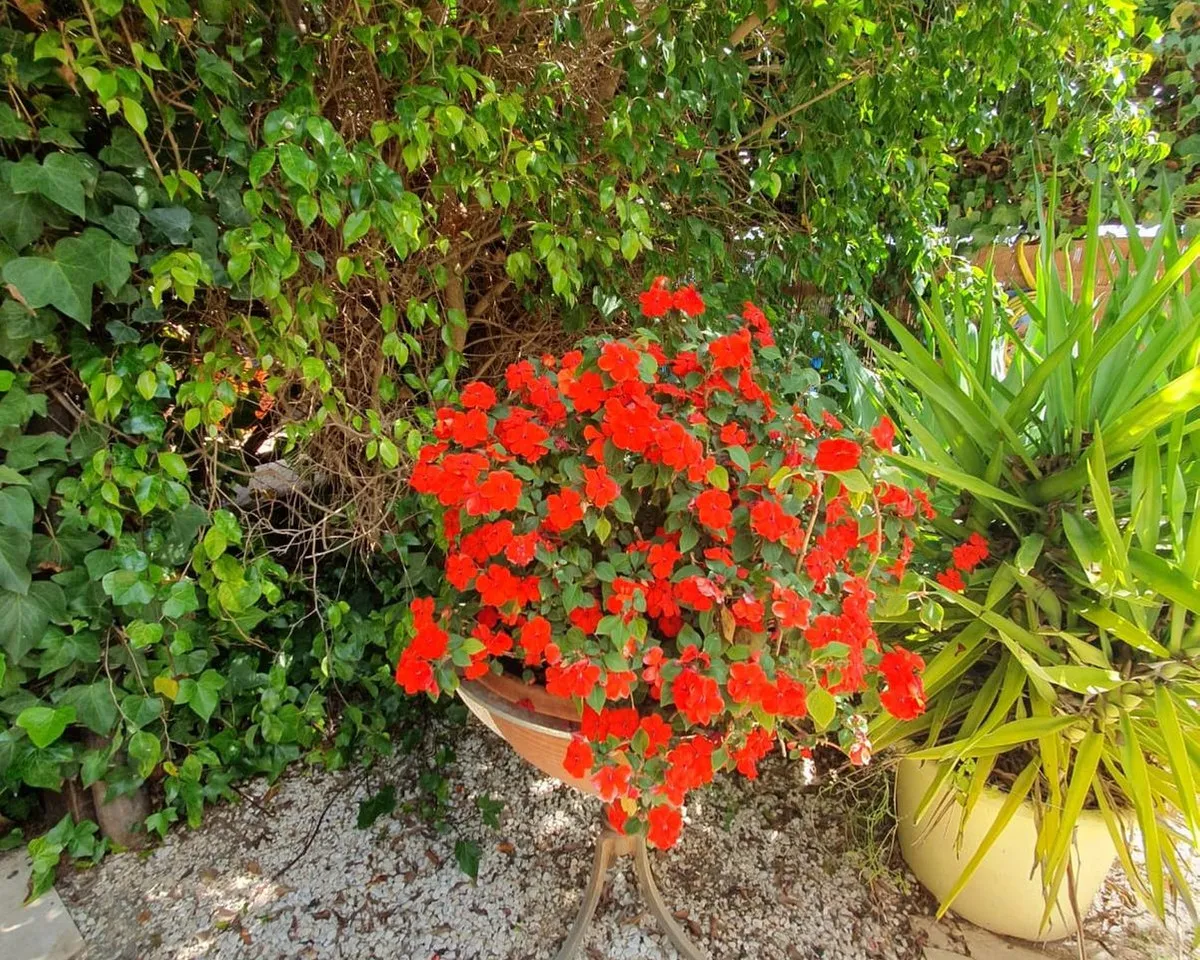 82820895-c6e1-4583-b8e0-19e66bde6216