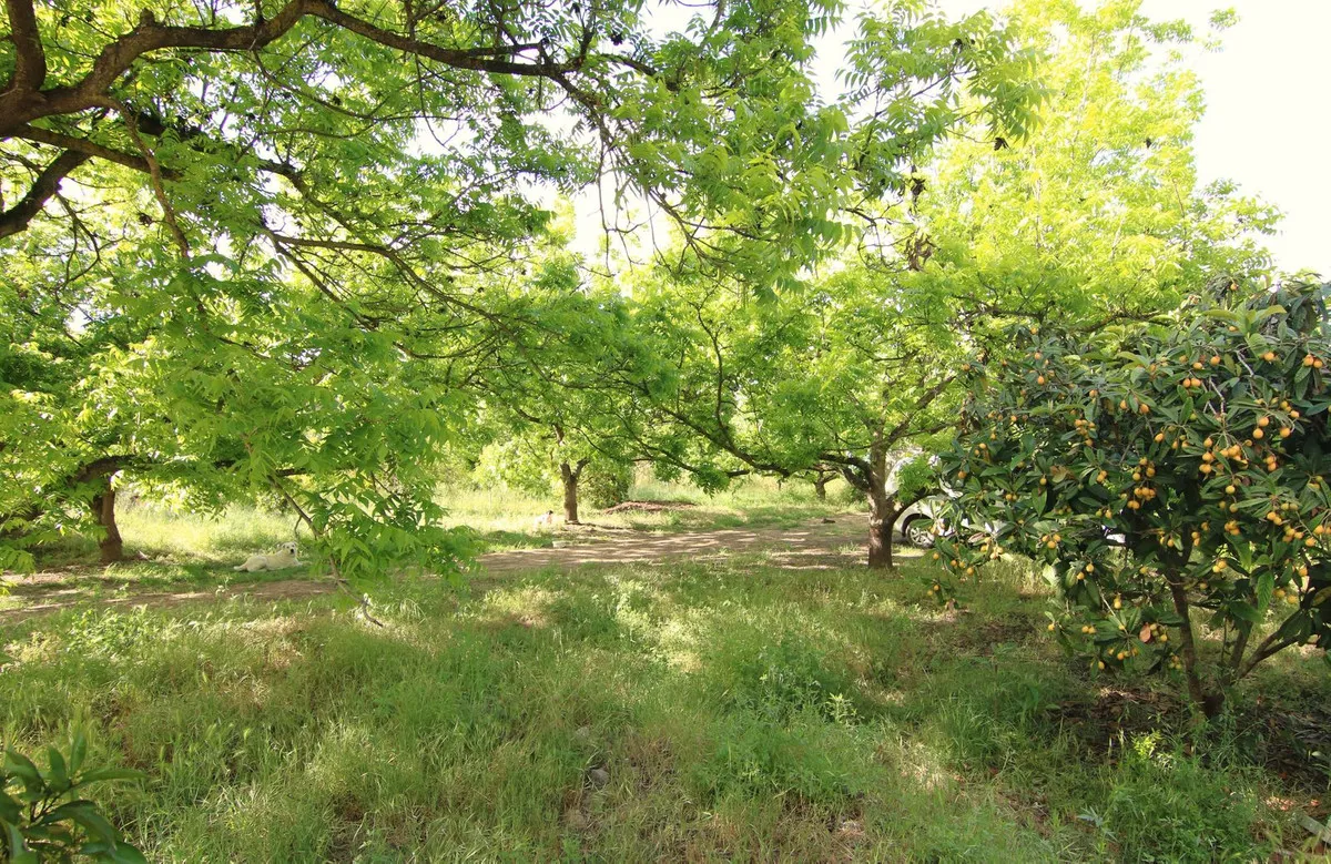 52233af3-dbbf-461b-8b98-deb8224e6663