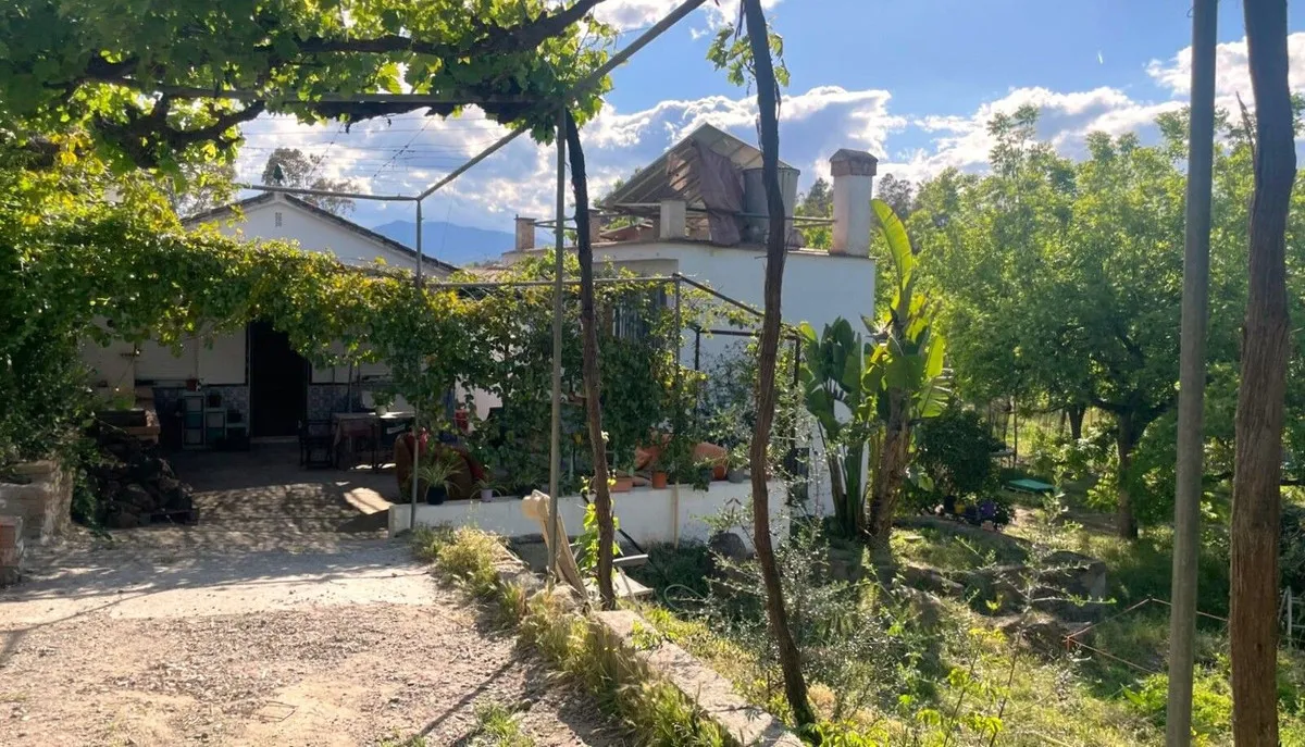 e67776e5-bc5a-49db-8410-25940954303f