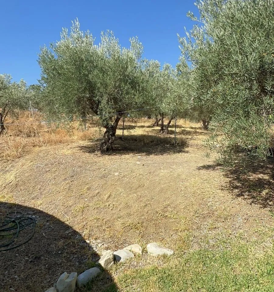 79618cc8-f4c2-425a-b179-d30dfaf0e48c