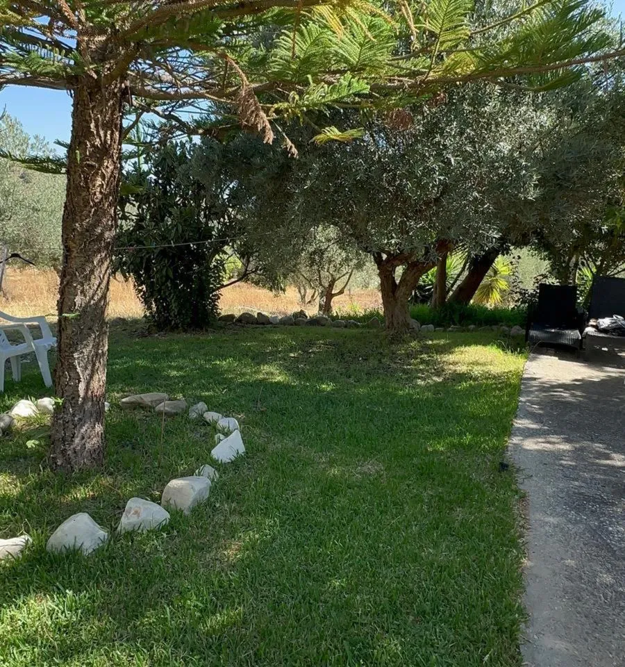 996126d4-3988-48da-a232-c0f2eb4144ca