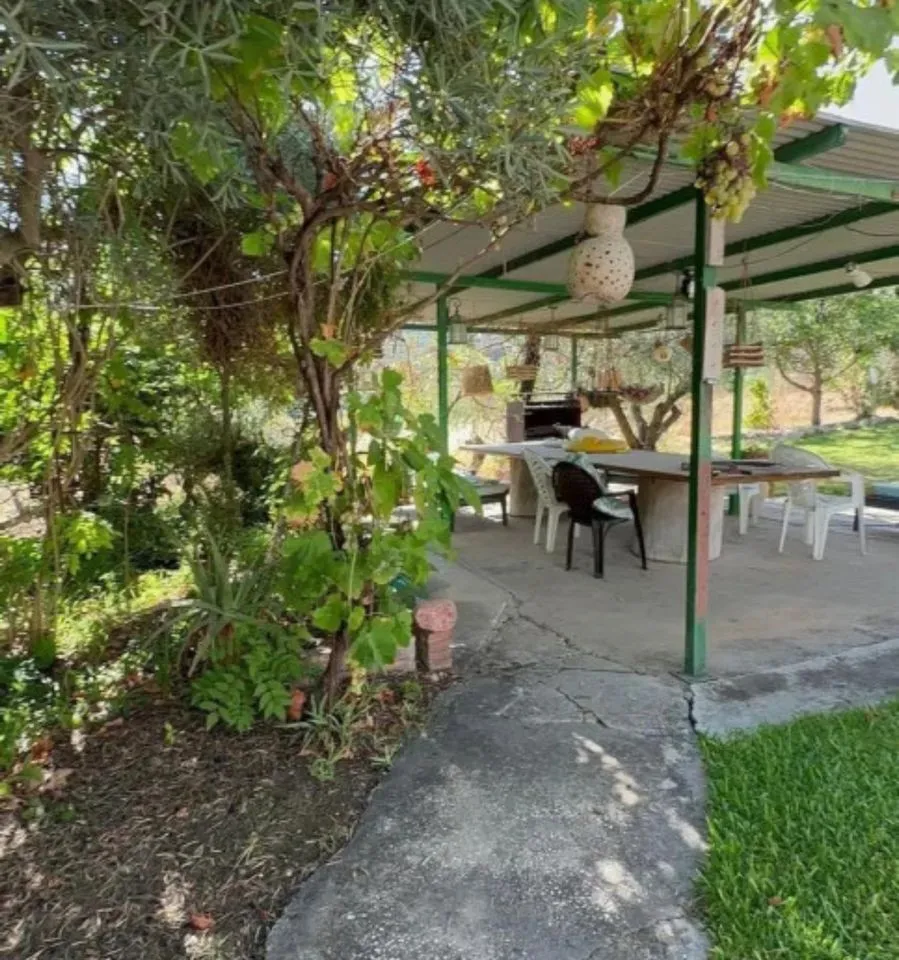 e0719aba-f0f1-4d09-9b62-8760814cb5b1