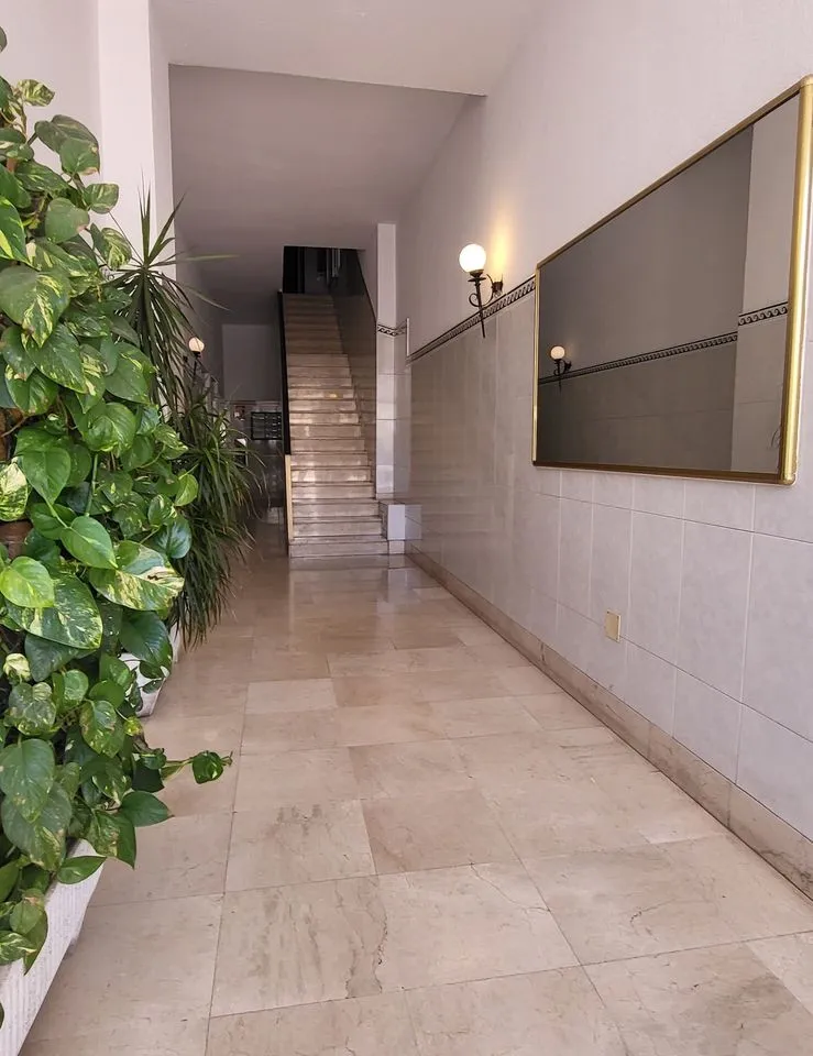 905604fd-29de-4afc-a422-b9ba599d9472