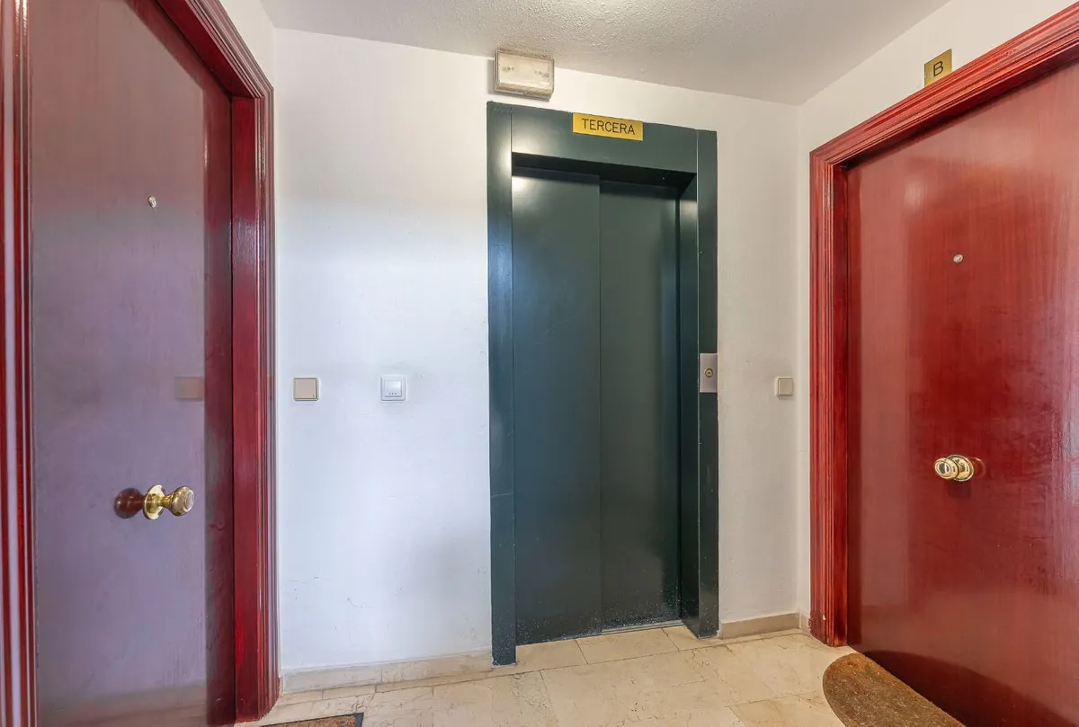 58ea8eda-8a0d-4338-a785-5c8605246d40