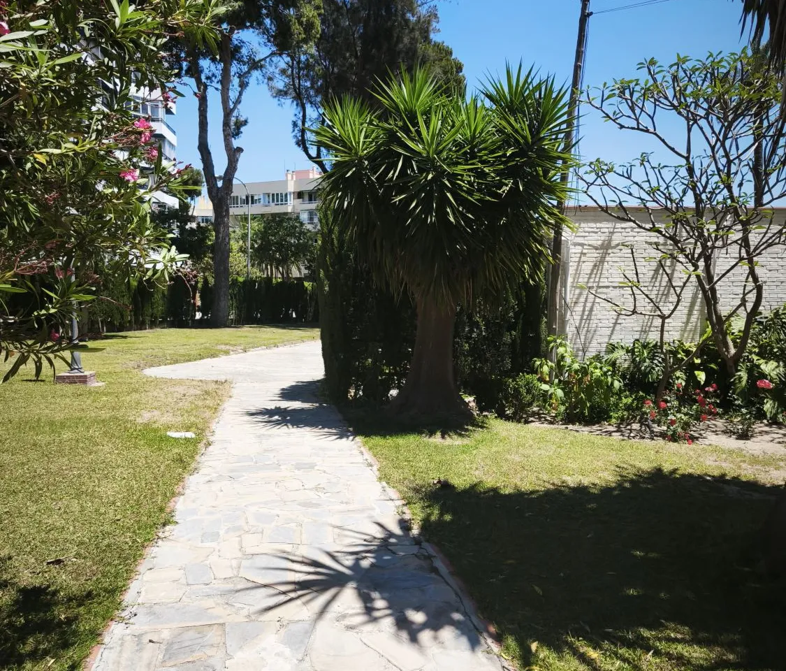 26ac6d0f-5b3a-478c-94ec-b4b72d1e4e19