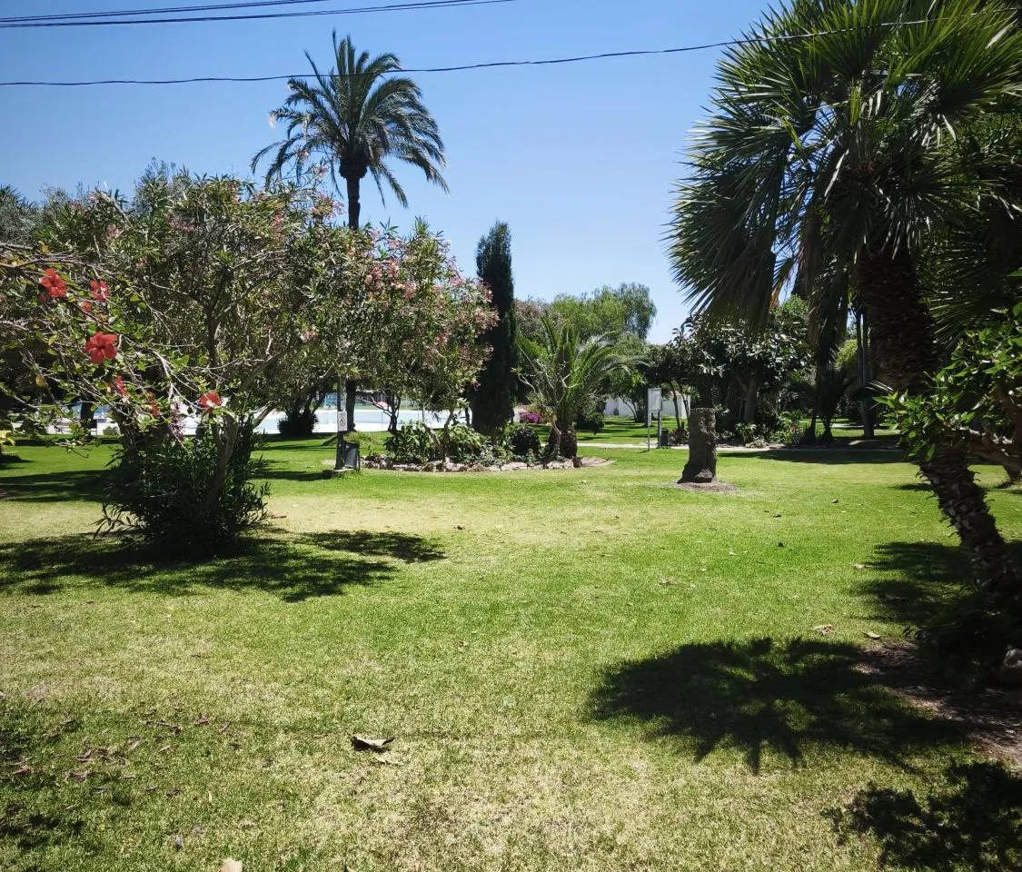 a9d3a141-dd4c-4f6b-8194-de424f37e7e7