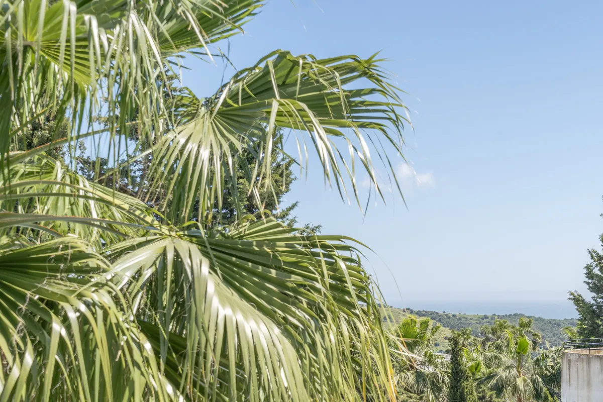 3e6f9be6-bc97-4267-a5b9-a095ba165285