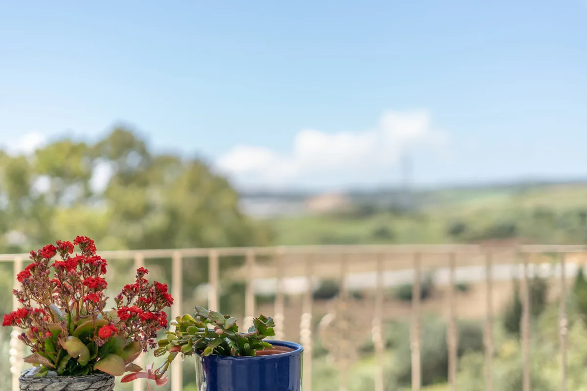 7bda4609-3308-4996-a427-1f51b79f2a7c