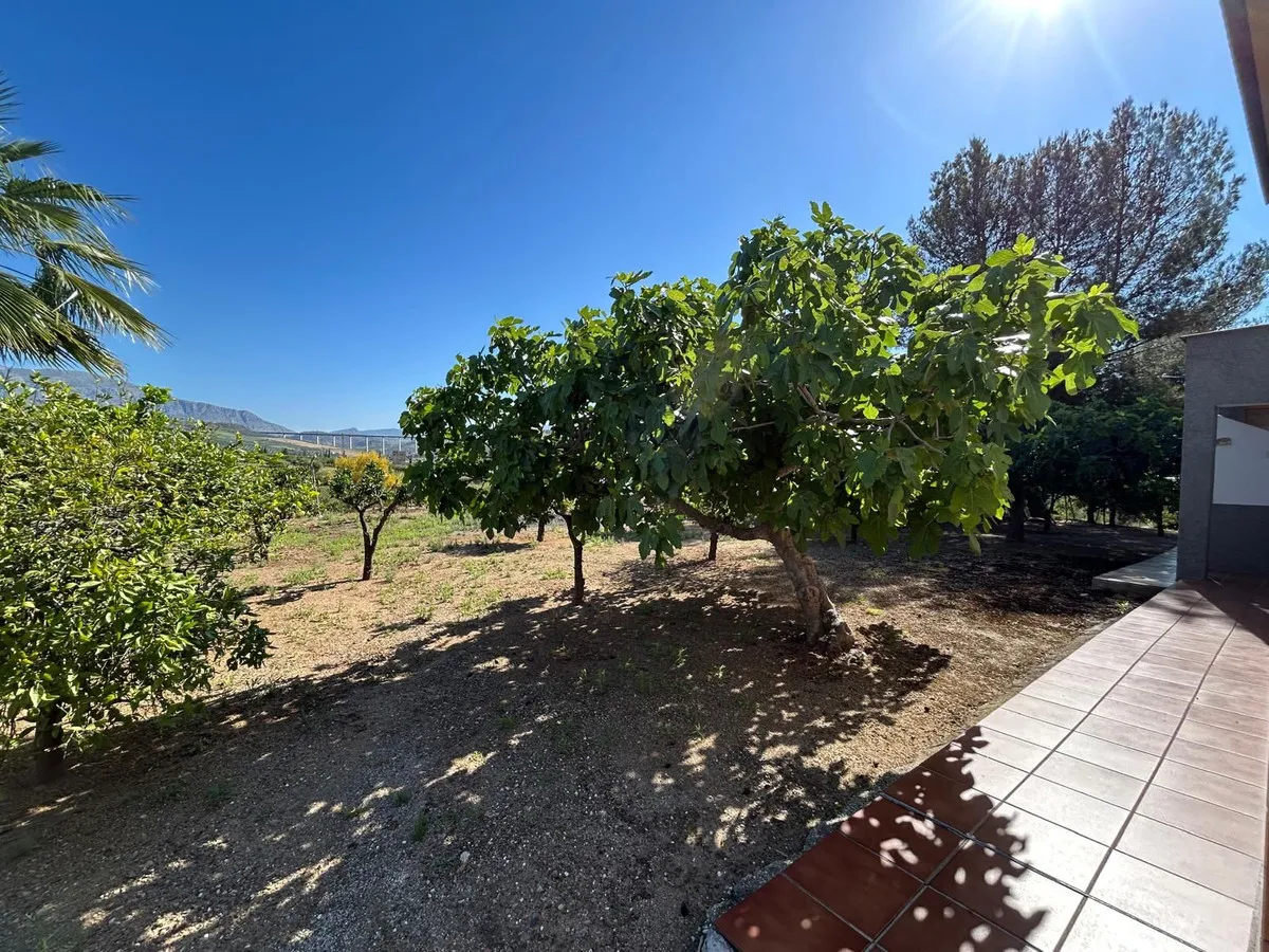 257d04f2-2fd8-4bf0-99e1-aaa38cffdab4