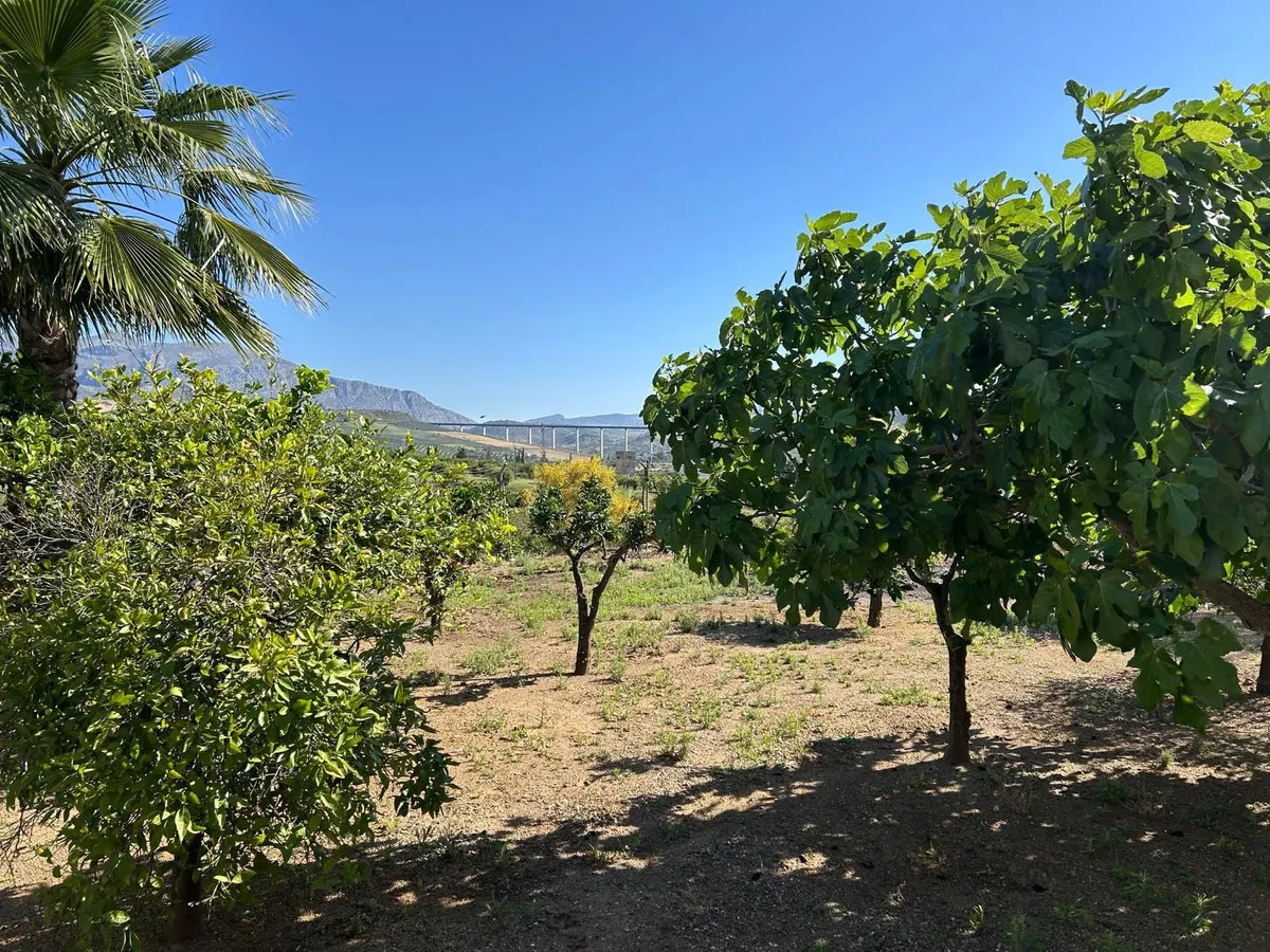 46214cca-7c03-4130-a1f4-2e85cad36c36