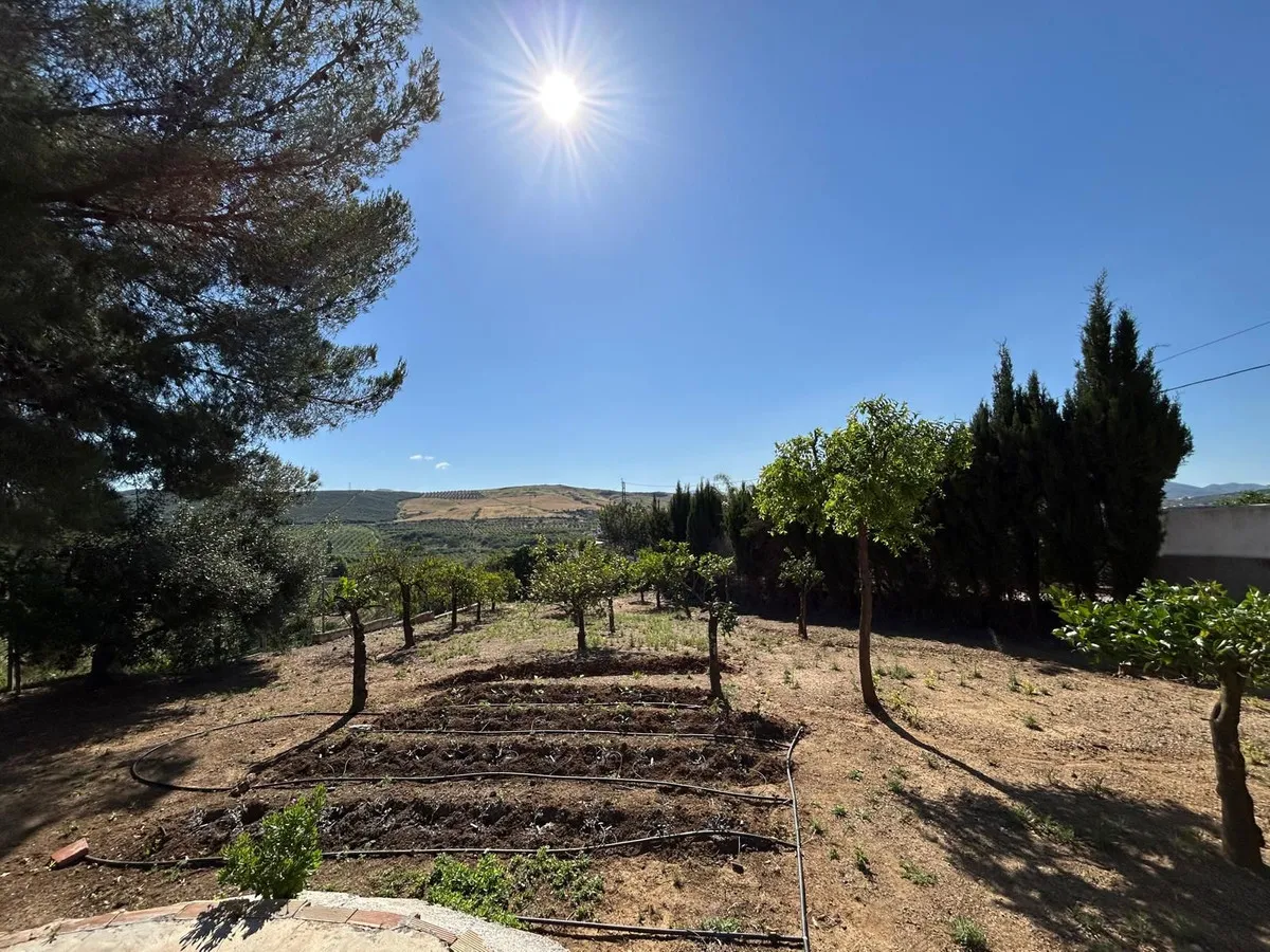 921cf5e3-f70a-4e01-9b99-ad6b722ffdcb