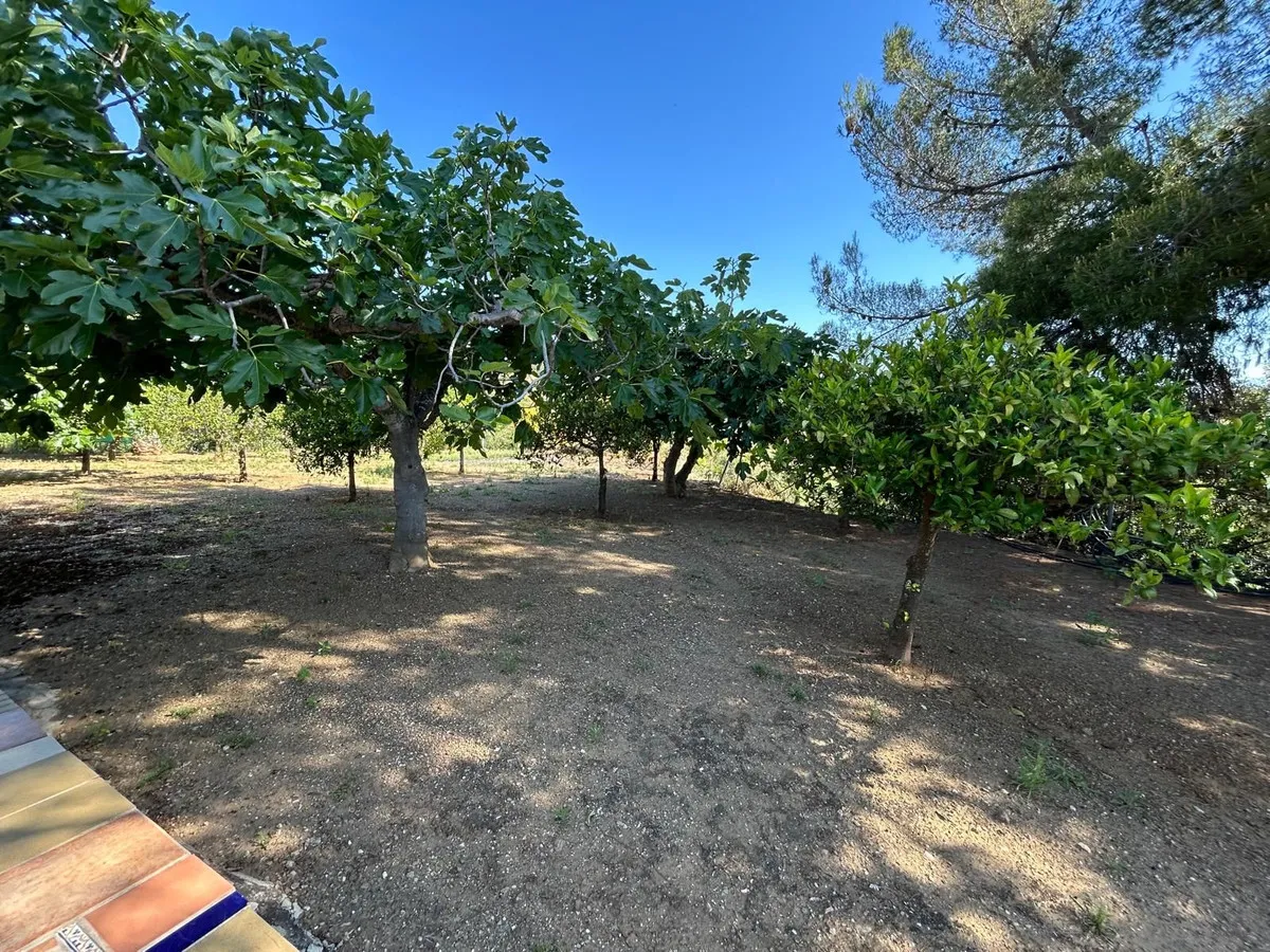 c0143045-2cfc-4573-98e7-99f5f3b46c5b