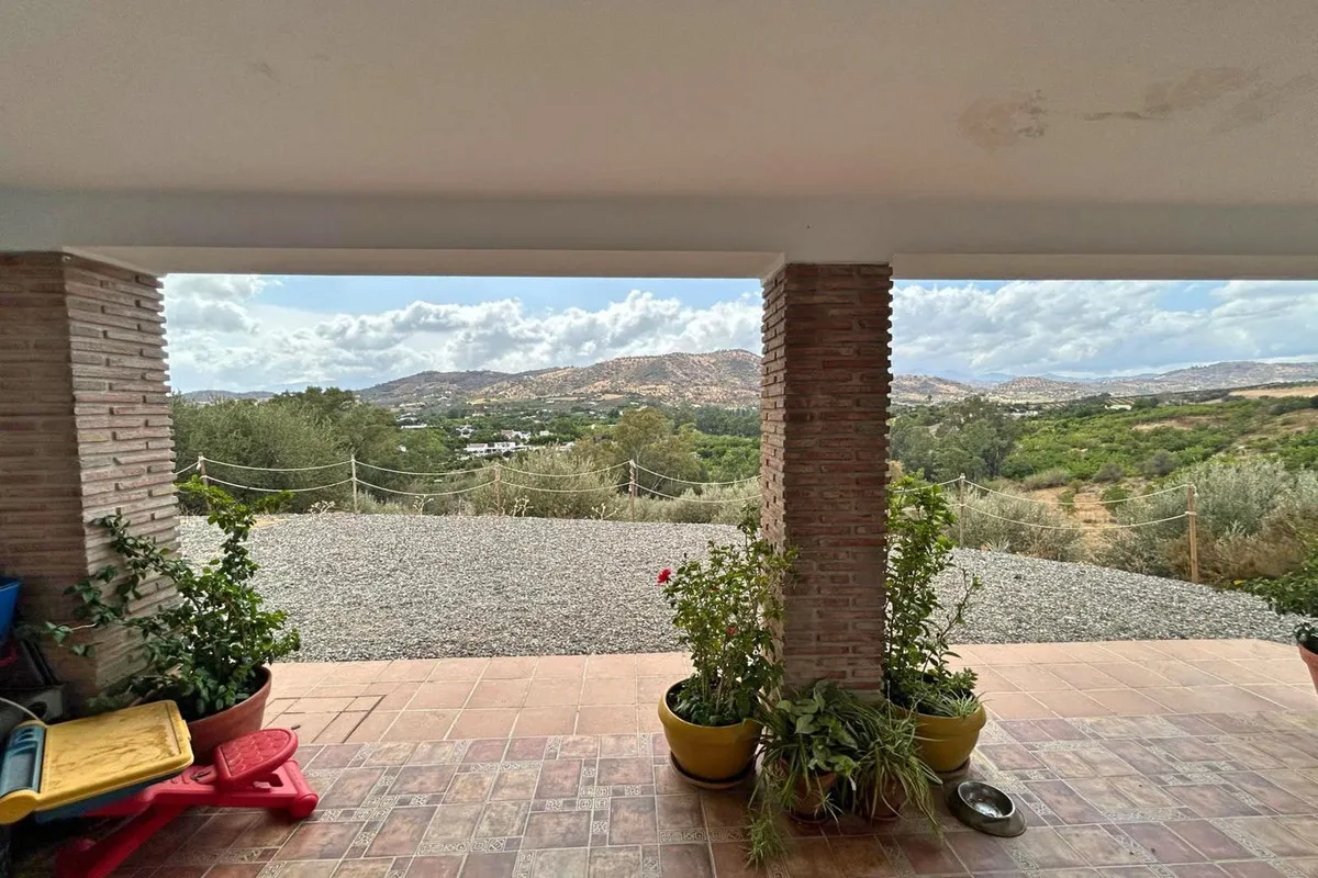 d303e5df-6655-40cf-9249-8bfa2ac94739